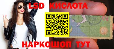 прущие грибы Пугачёв