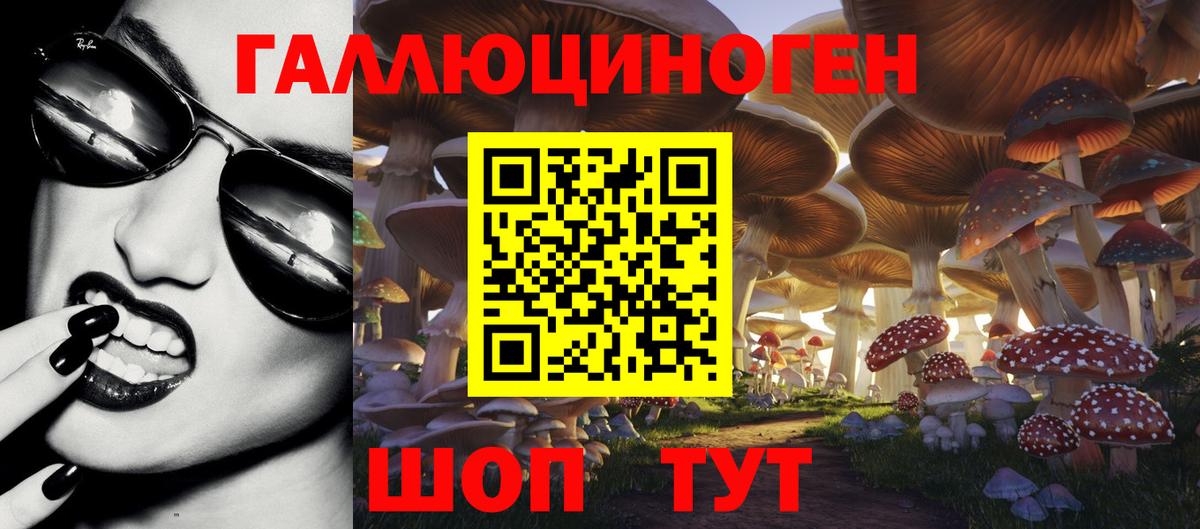 Галлюциногенные грибы мухоморы Ставрополь