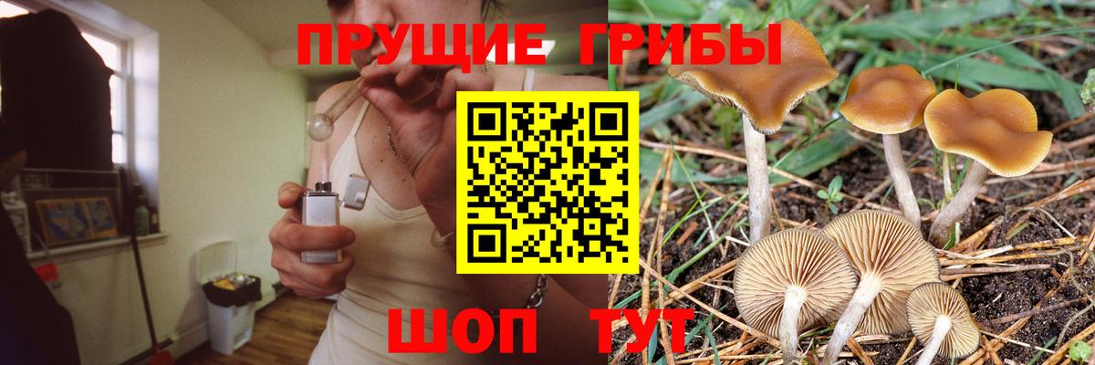 Псилоцибиновые грибы мицелий  Галлюциногенные грибы Magic Shrooms  Вход с VPN  Ставрополь 